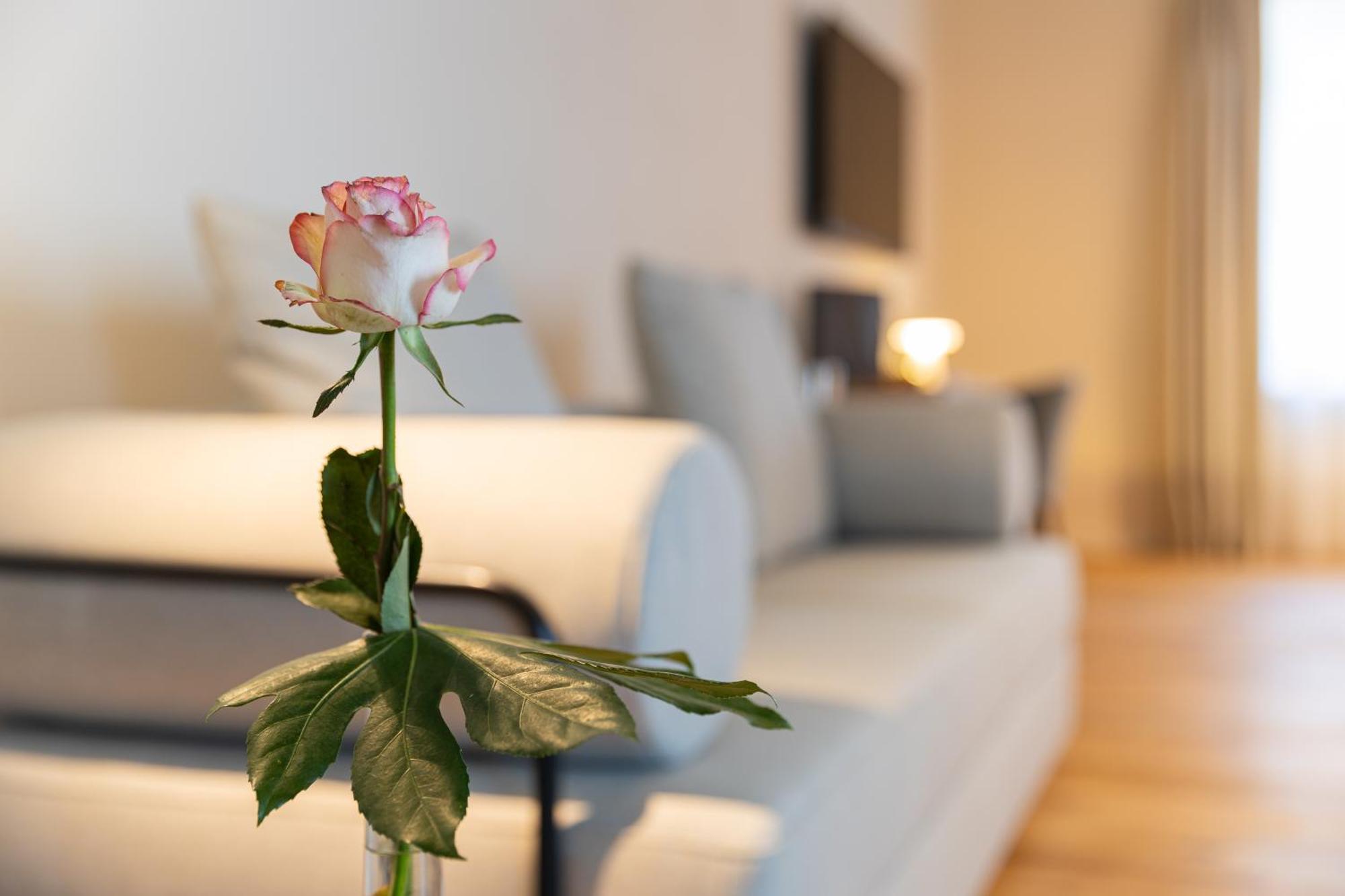 Hotel Boutique Gruener Zweig